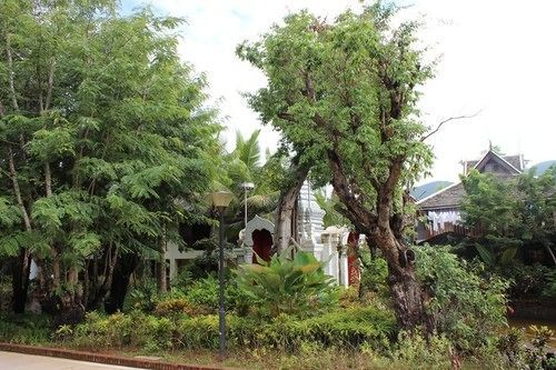 Xishuangbanna Elephanthome Boutique Guest House 外观 照片