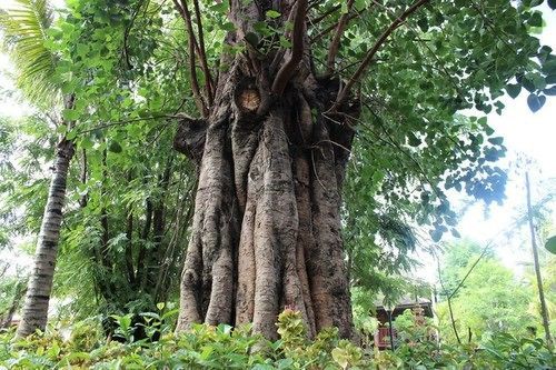 Xishuangbanna Elephanthome Boutique Guest House 外观 照片